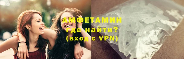 PSILOCYBIN Балахна