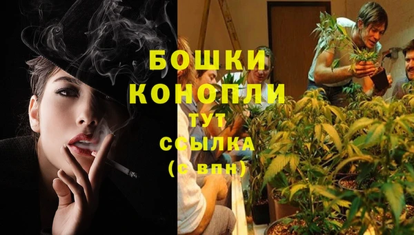 PSILOCYBIN Балахна