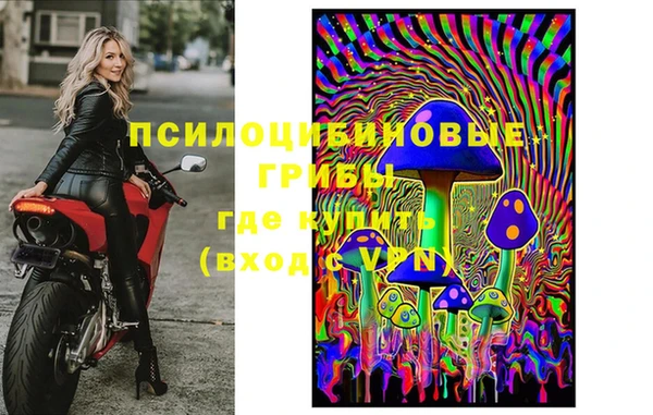 ПСИЛОЦИБИНОВЫЕ ГРИБЫ Баксан