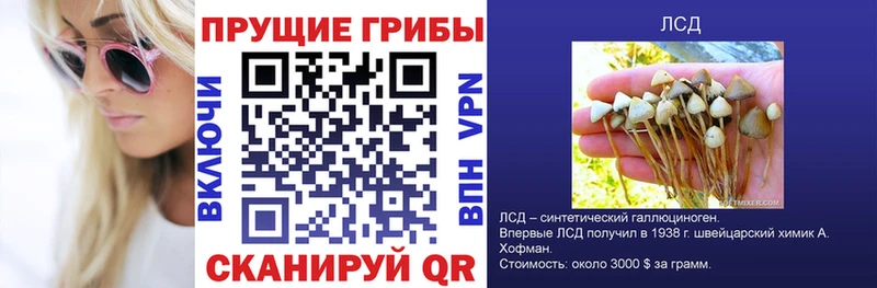 ОМГ ОМГ сайт  Черноголовка  Псилоцибиновые грибы мухоморы  купить наркоту 